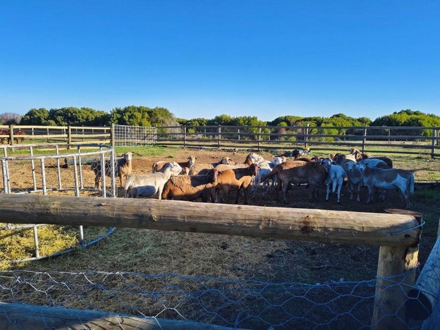  Bedroom Property for Sale in Riversdale Rural Western Cape